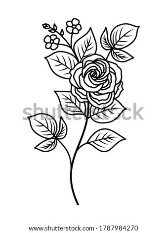 Rose flower with leaves outline design element, black white, vector illustration