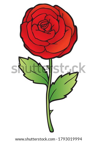 a red roses illustration.
isolated on white background.Top view