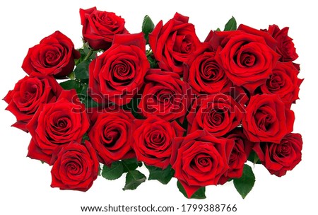 bouquet of red roses on a white background, top view