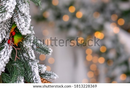 Christmas branch of a christmas tree on a background of glowing bokeh