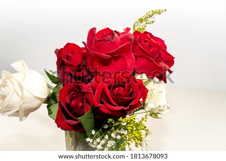 Red roses bouquet with water drops on a white background. The concept of Valentine's Day, wedding, Halloween. Design for greeting cards or posters. Rose is a symbol of love