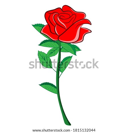 flower red rose vector illustration graphics design
