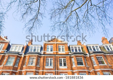 Victorian architecture in London with blue sky and tree branches