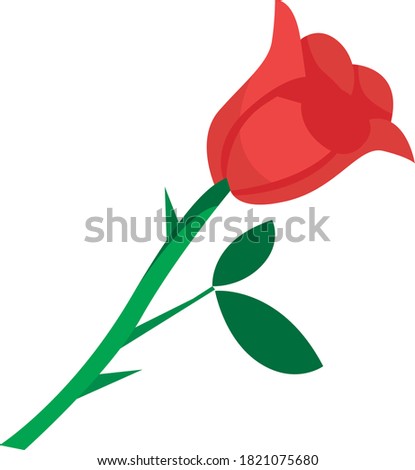 vector illustration of elegant red rose with thorns