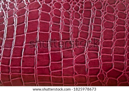 Background of artificial lacquer skin red under the crocodile