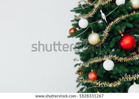 Christmas tree pine place for inscription white background
