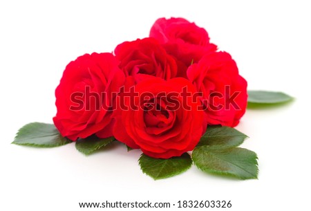 Five beautiful red roses on a white background.