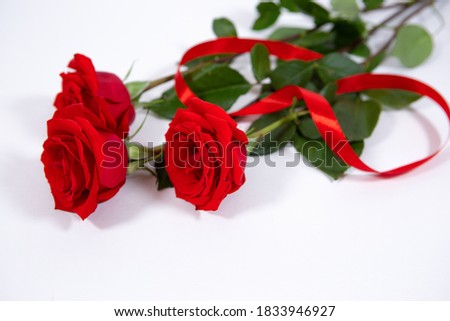 large beautiful red roses with a scarlet ribbon on a white isolated background