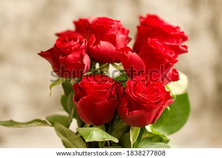 A bouquet of red roses with a beige background. Selective focus.
