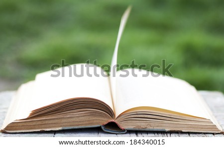Open book on green background