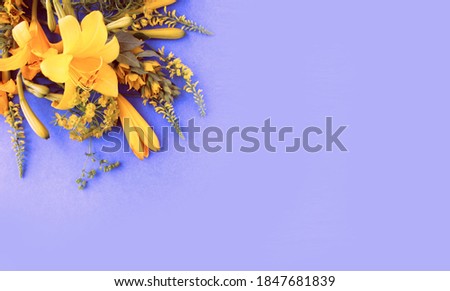 Yellow lilies on a lilac background. Delicate pastel shades. Background for cards, greetings, invitations.