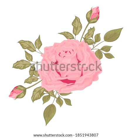 Decorative flowers. Floral arrangement of flowers and leaves. A bouquet of flowers for the decoration of wedding invitation cards and greeting cards. Isolated vector illustration.