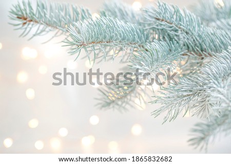 Christmas tree twig with defocused lights