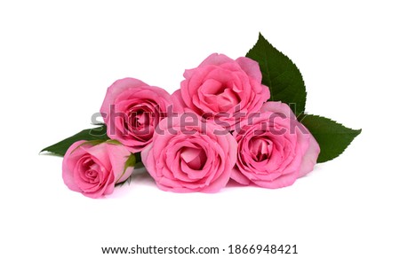 beautiful bouquet of Pink rose flowers isolated on white background