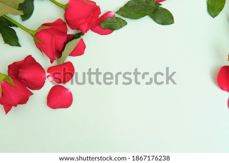 roses and chrysanthemums lying on green background