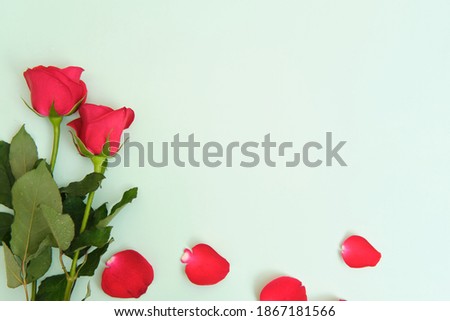 roses and white paper lying on a green background