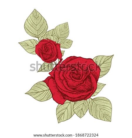 Decorative roses. Floral arrangement of flowers and leaves. A bouquet of flowers for the decoration of wedding invitation cards and greeting cards Black engraving, graphics, line art. Vintage.