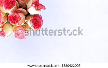 Bright bouquet of coral roses on a white background. Festive flower arrangement. Background for greeting card, invitation.