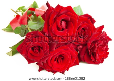 red roses bunch with petals on white background 