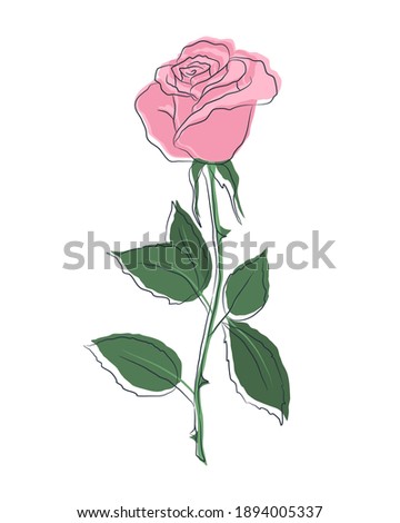 Pink rose with green leaves on a white background. Summer  flowers. Outline drawing. Contour. Vector illustration
