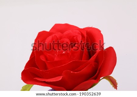 Red colorful textile rose closeup