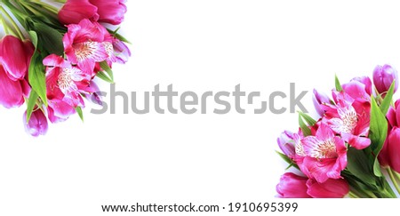 Pink tulips and astromeria on a white background. Spring flower arrangement. Background for greeting cards.