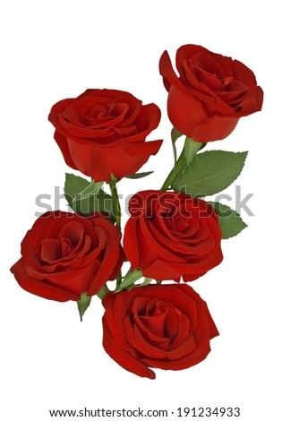 A bunch of red roses