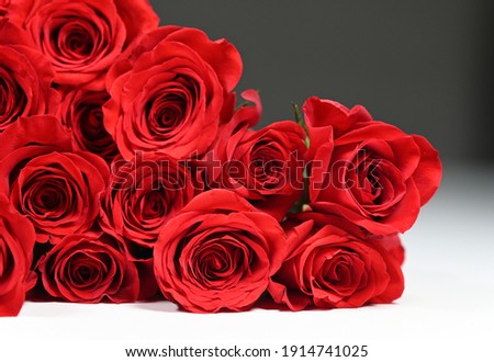 Bouquet of red roses on the contrast background
