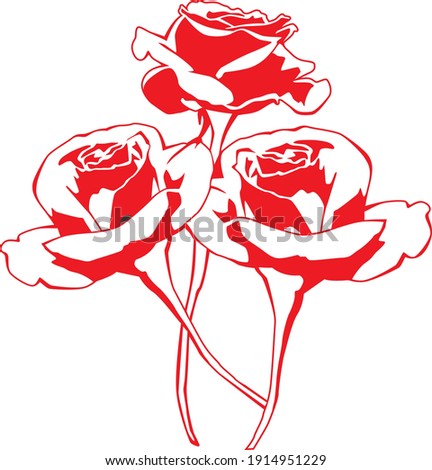 beautiful roses for tattoo and application
