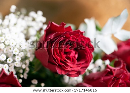 Red roses for Valentine's day