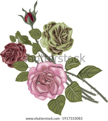 Vintage rose bouquet - realistic hand drawn vector roses . 
Flowers. vector realistic hand drawn rose 