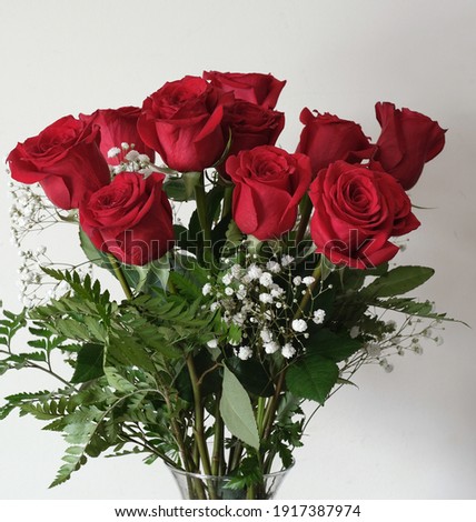 Dozen romantic red roses isolated. Side view