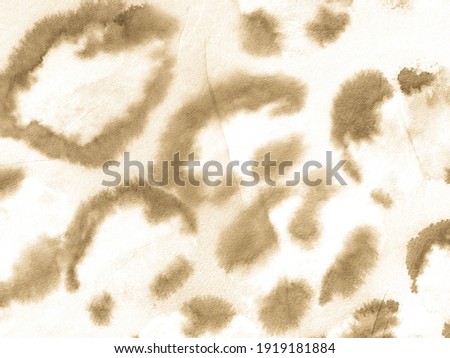Trendy Fabric Design. Cheetah Animal Abstract Texture. African Animal Banner. Bright Leopard Skin Pattern. Jaguar Skin Pattern. Animal Art Design. White Painting Colour