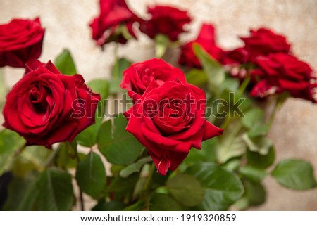 Red roses in a vase. Close-up
