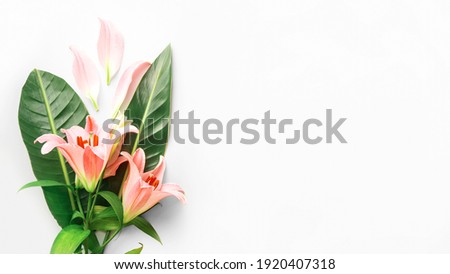 Pink Lilium flowers isolated on white background. Festive floral arrangement. Banner sized. Mother's day, International Women's Day. Template with Text Space.