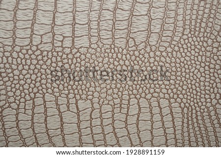 Gray-brown snake or crocodile skin: scale pattern, genuine reptile leather product, luxury fabric