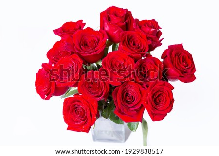 Bouquet of red (burgundy) roses on a white background. Water drops. Close-up.