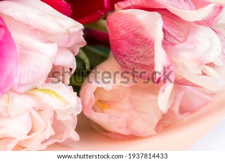 Bouquet of tulips close-up, selective focus. Floral background. A flower with petals cut and torn at the edges. 