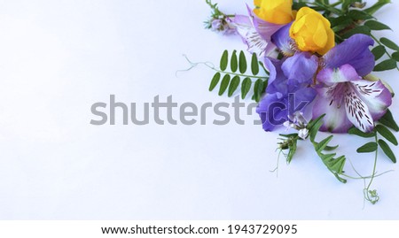 Purple irises and lilac alstroemeria on a white background. A delicate spring flower arrangement. Background for a greeting card.