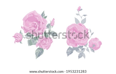 A set of drawn roses in vintage style for use in the interior, industry, printing. Vector illustration