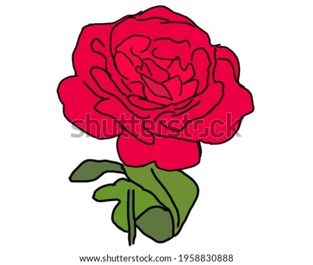 Red Rose Beautiful Drawing Image