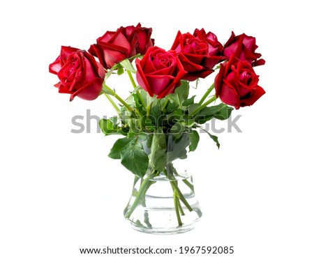 Roses in jug isolated on white background