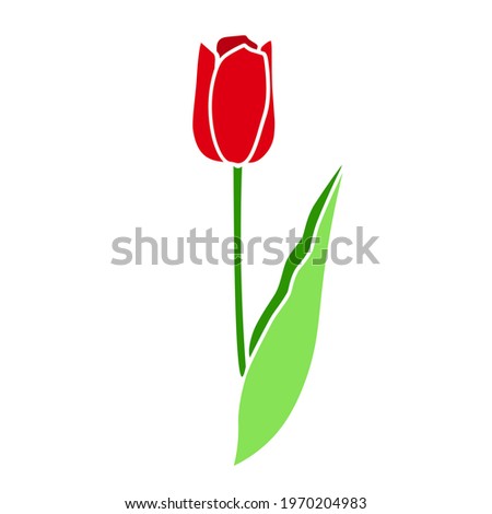 tulip. simple flat illustration, one flower on a white background