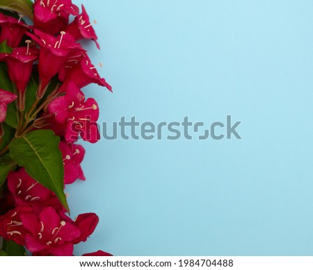 Spring flower arrangement on a romantic blue background.