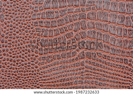 Background image - dark brown textured crocodile skin.