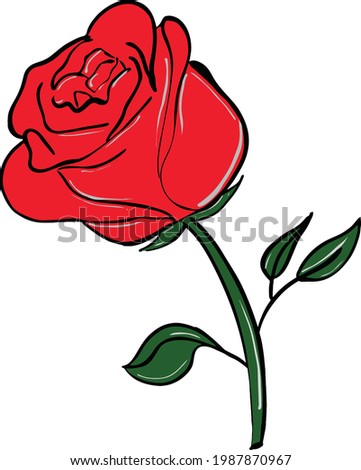 rose love floer valentine art nature