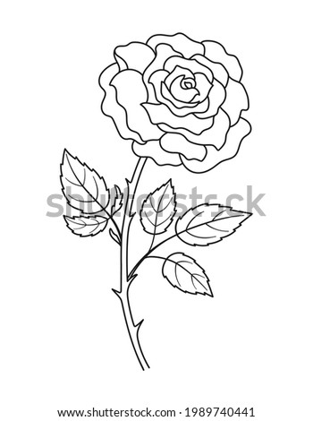 Rose flower. Linear flower with stem and leaves. Black contour of rose on white background. Hand drawn vector illustration for your design.