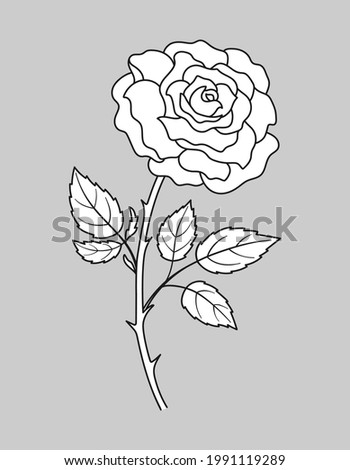 Rose flower with stem and leaves. Rose in black outline and white fill. Hand drawn vector illustration for your design.