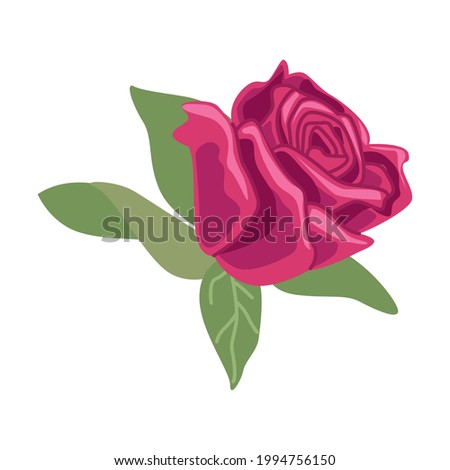 spring rose flower nature icon