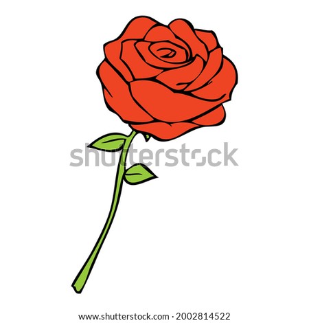rose vector illustration,
isolated on white background.top view